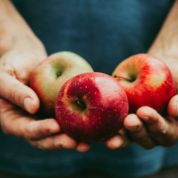 Mann hält Äpfel in seinen Händen Mann hält Äpfel in seinen Händen